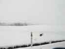 【写真・サムネイル】 田んぼがあった場所が雪に覆われ、真っ白になっている。