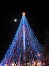 【写真】 電飾で創られたクリスマスツリーと、夜空に浮かぶ満月の写真