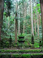 【写真・サムネイル】 常楽寺石造多宝塔の写真。杉の木と苔に埋もれた空間に、石造多宝塔が同じく苔に埋もれて鎮座している。ぴりぴりとした空気が漂っている。