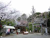 【サムネイル】葛原岡神社入り口の全景。散りかけの桜よりも自販機に目が向いてしまう。