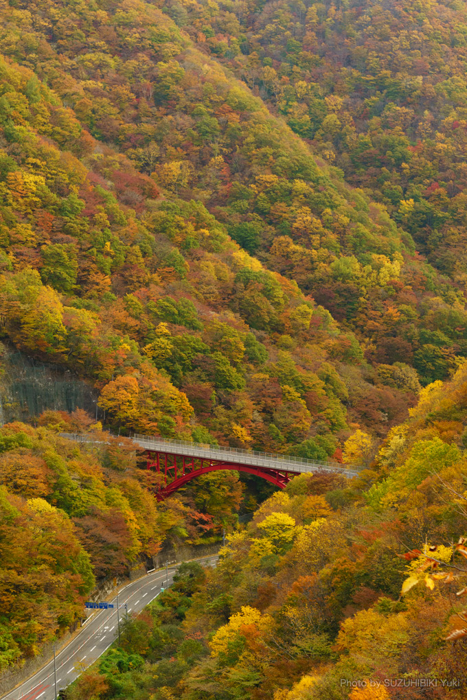 紅葉に覆い尽くされた谷にかかる赤い橋が美しい。