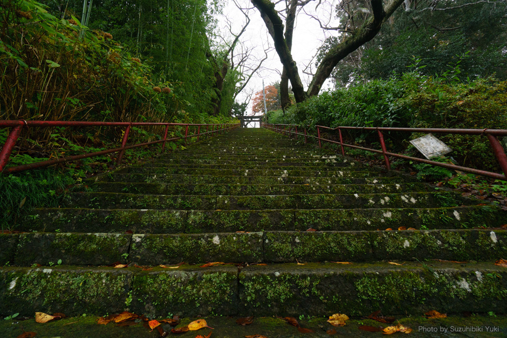 途方もない階段の向こうに見える鳥居　階段は苔に覆われていて風情がある