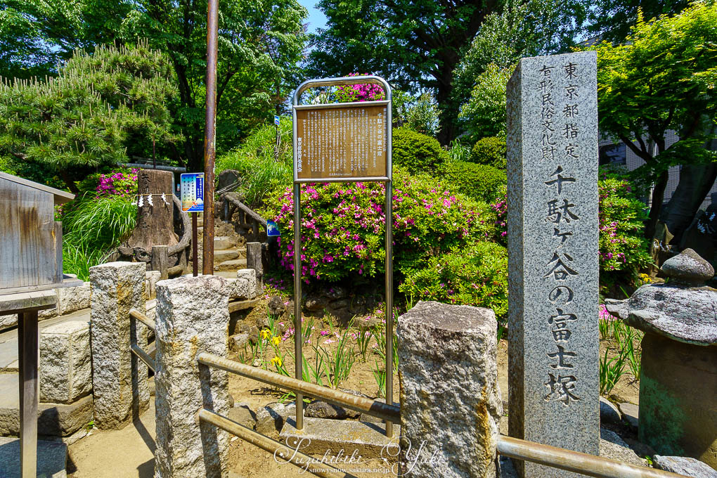 千駄ヶ谷の藤塚、という看板。