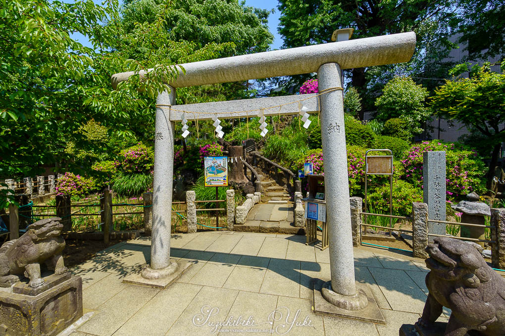 富士塚の登山道入り口。狛犬と鳥居もある。